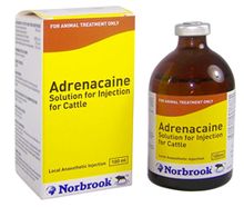 Adrenacaine Solution for Injection of Cattle