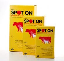 Spot-On Insecticide for Cattle & Sheep