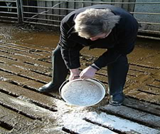 Slurry Control