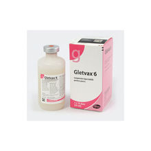 Gletvax 6