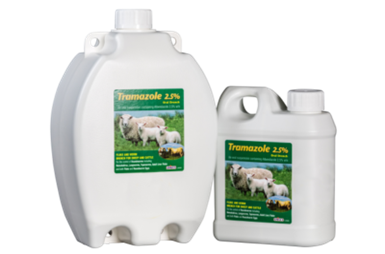 Tramazole Drench 2.5%