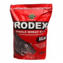 Rat & Mouse Bait - Rodex Whole Wheat