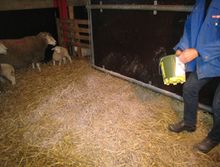 Staldren Dry Disinfectant for Sheep & Goats